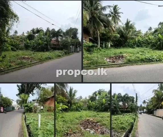 13.5 Perches Bare Land for Sale in Matara
