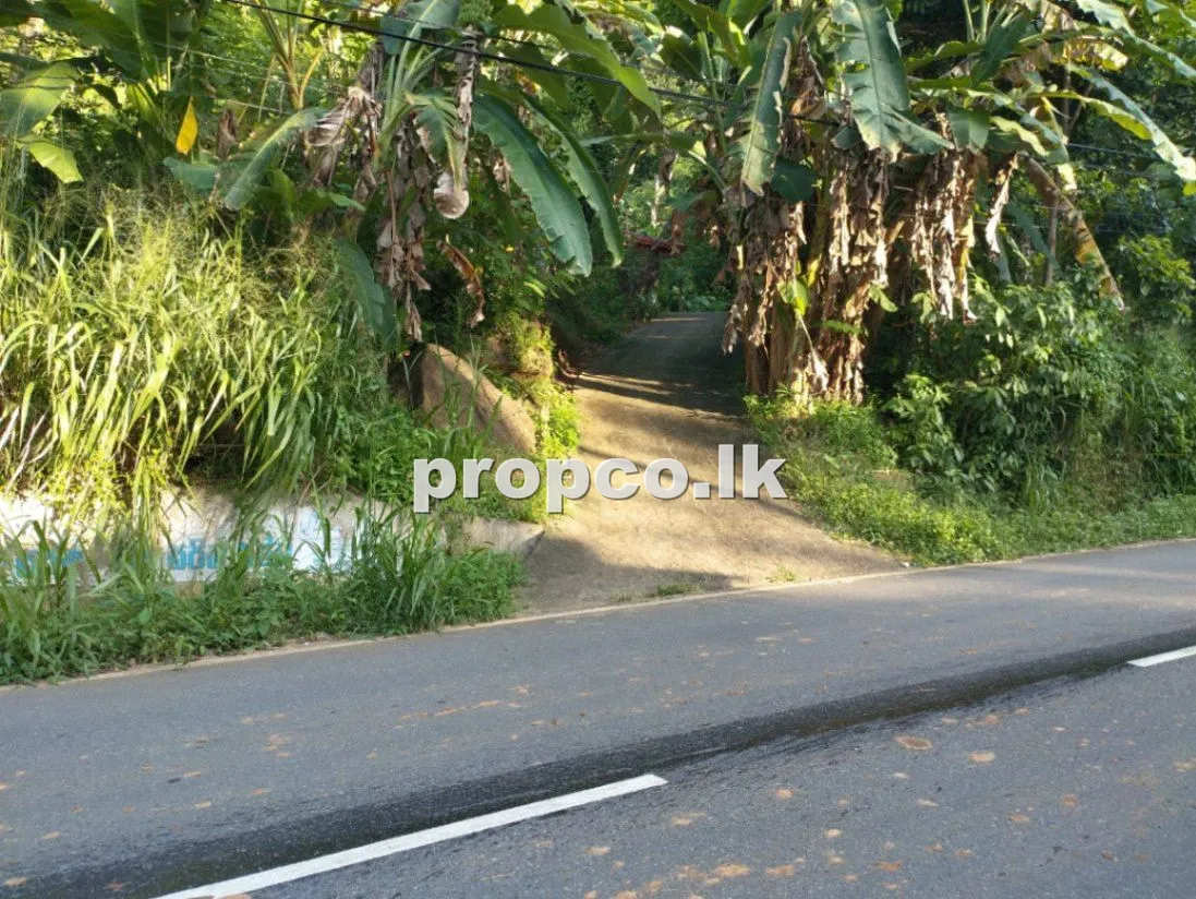 2.5 Acres Houses for Sale in Kegalle