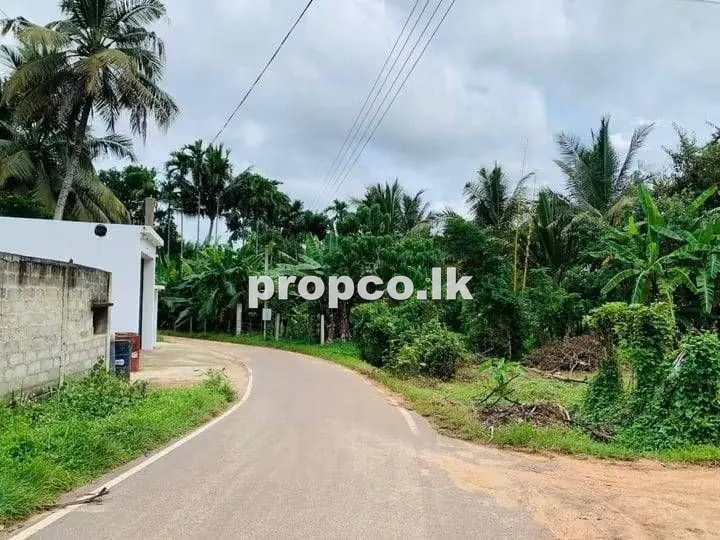 25 Perches Bare Land for Sale in Kurunegala