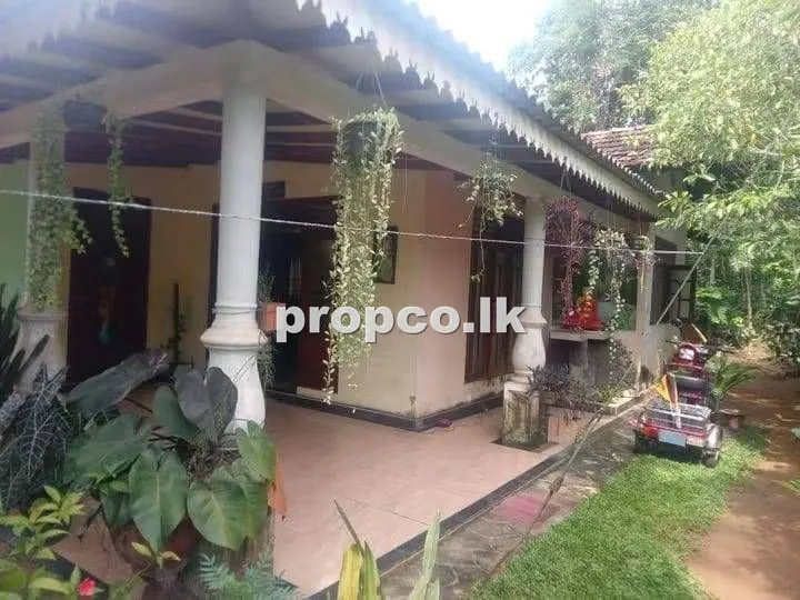 18 Perches Houses for Sale in Pallewela