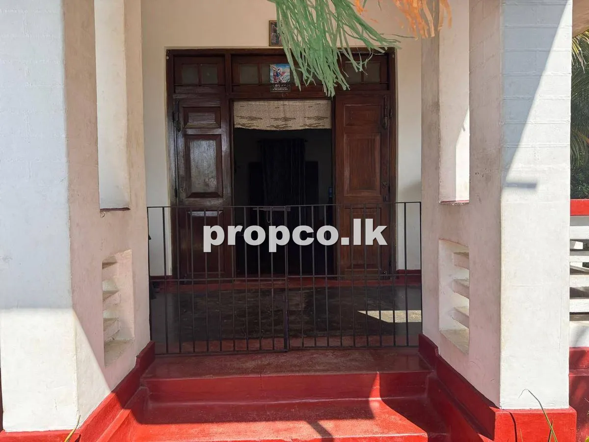 30 Perches Houses for Sale in Ja-Ela
