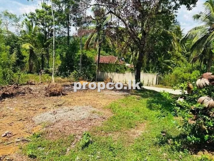 26 Perches Bare Land for Sale in Horana
