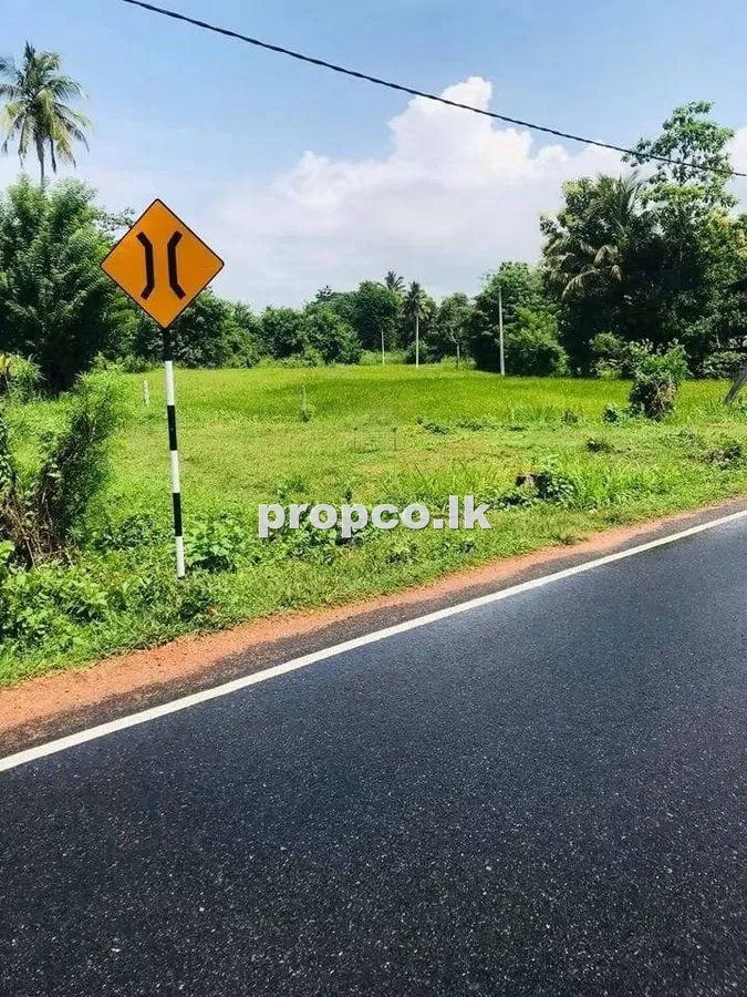 14.7 Perches Bare Land for Sale in Kurunegala