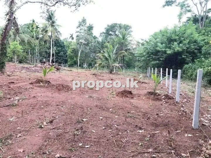 234 Perches Bare Land for Sale in Kurunegala