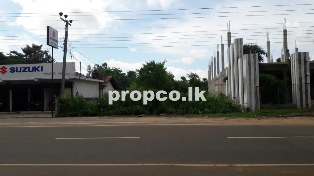 80 Perches Bare Land for Sale in Anamaduwa