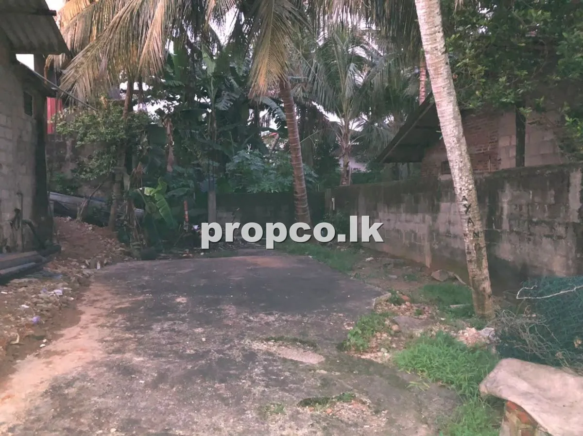 3 Perches Bare Land for Sale in Piliyandala