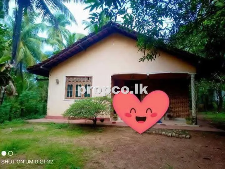 20 Perches Houses for Sale in Diulapitiya