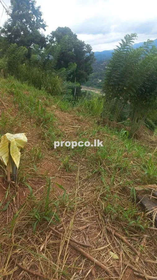 21 Perches Bare Land for Sale in Kandy