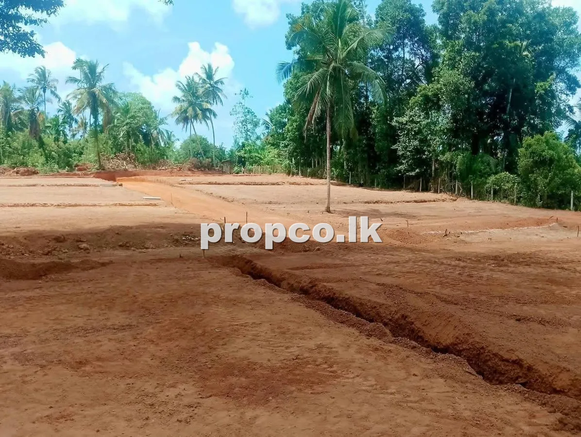 12.5 Perches Bare Land for Sale in Diulapitiya