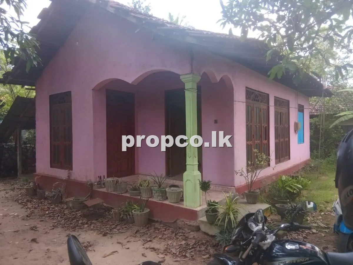 16 Perches Houses for Sale in Badalgama