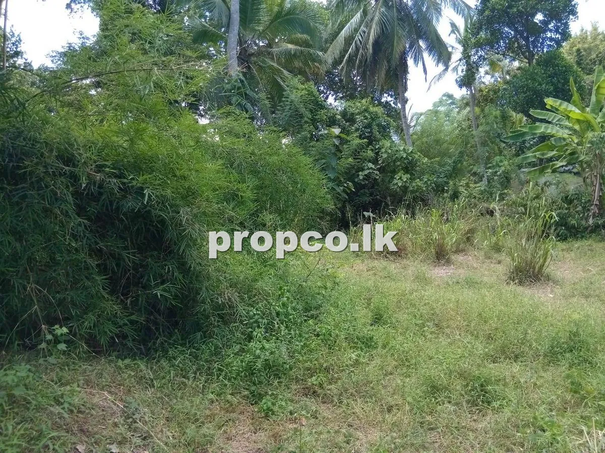 30 Perches Bare Land for Sale in Diulapitiya
