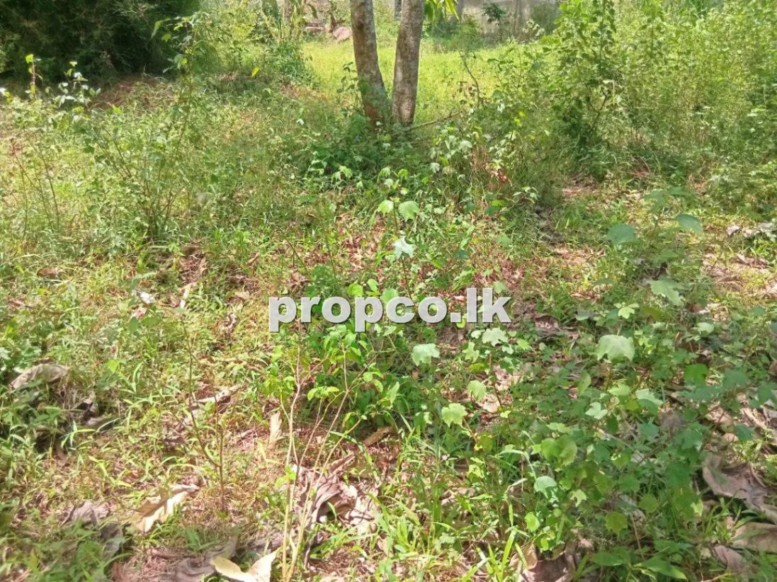 40 Perches Bare Land for Sale in Diulapitiya