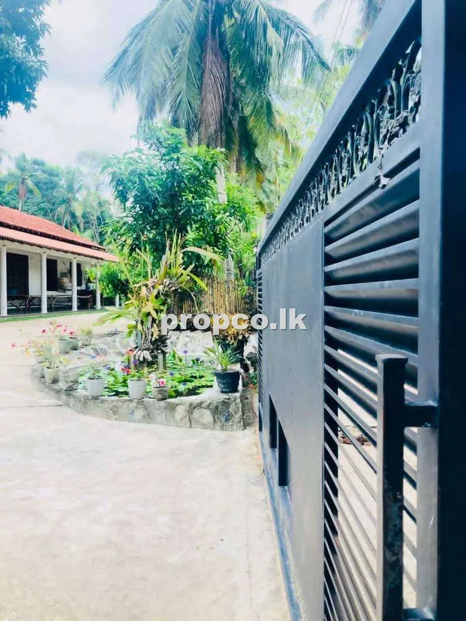 100 Perches Houses for Sale in Dunagaha